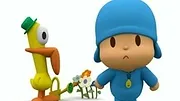 Pocoyo