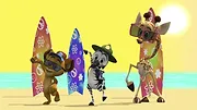 Madagascar : La savane en délire