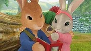 Pierre Lapin