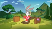 Looney Tunes Cartoons