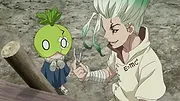 Dr. STONE