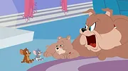 Tom et Jerry Show