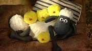 Shaun le mouton S1 E22