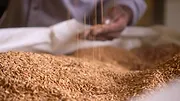 La Part du lion : Comment la cuisine afro-américaine a changé les États-Unis