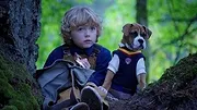 Pup Academy : L'école secrète