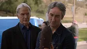 NCIS : Enquêtes spéciales