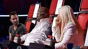The Voice (États-Unis)