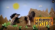 L'Histoire racontée par des chaussettes