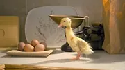 La vie discrète des petites bêtes