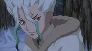 Dr. STONE