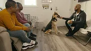 Canine Academy