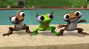 Madagascar : La savane en délire