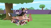 Tom et Jerry Show S4 E2