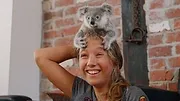 Izzy et les koalas