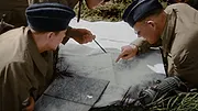 39-45 : L'humanité en guerre