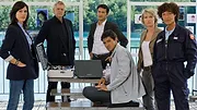 Section de recherches S6 E8
