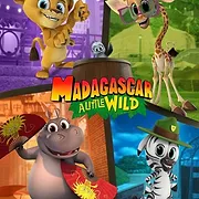 Madagascar : La savane en délire