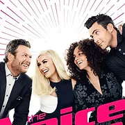 The Voice (États-Unis)