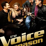The Voice (États-Unis)