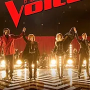 The Voice (États-Unis)