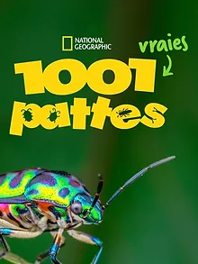 1001 vraies pattes