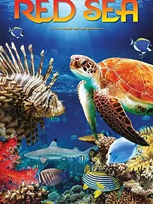 La Mer Rouge, comme vous ne l'avez jamais vue