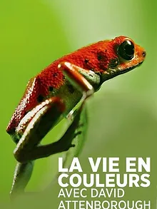 La Vie en couleurs avec David Attenborough