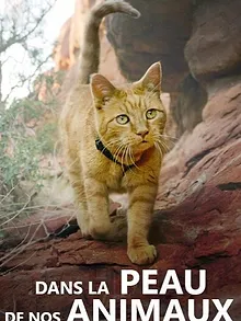Dans la peau de nos animaux