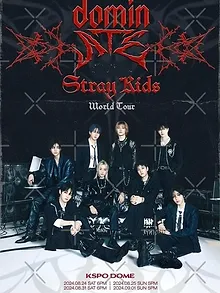 Stray Kids: The dominATE Experience