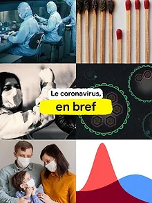 Le coronavirus, en bref