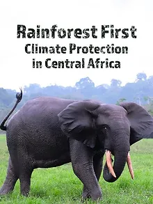 Rainforest First: Climate Protection in Central Africa