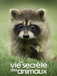 La Vie secrète des animaux