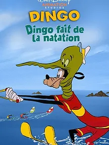 Dingo Fait de la Natation