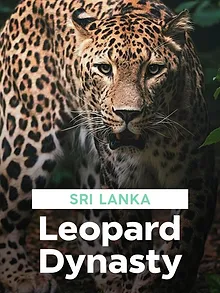 Sri Lanka : Le royaume des léopards