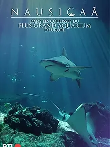 Nausicaá : Dans les coulisses du plus grand aquarium d'Europe