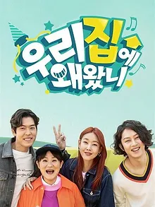 취향저격 선데이- 우리집에 왜 왔니