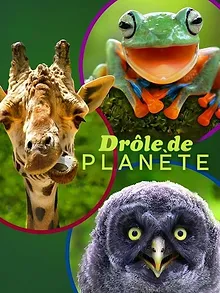 Drôle de planète