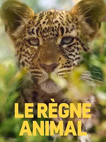 Le règne animal