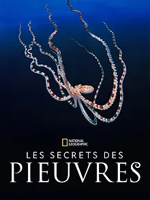 Les Secrets des pieuvres