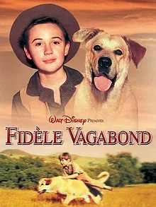 Fidèle vagabond