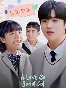 A Love So Beautiful (Korean)