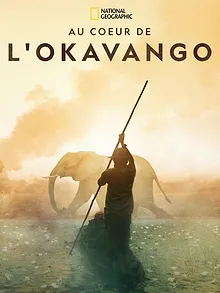 Au cœur de l'Okavango