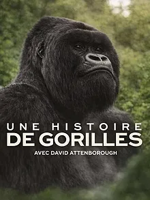Une histoire de gorilles avec David Attenborough