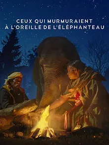Ceux qui murmuraient à l'oreille de l'éléphanteau
