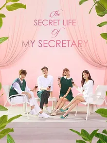 The Secret Life of My Secretary