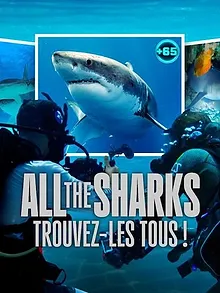 All the Sharks : Trouvez-les tous !