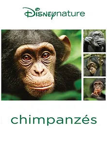 Chimpanzés