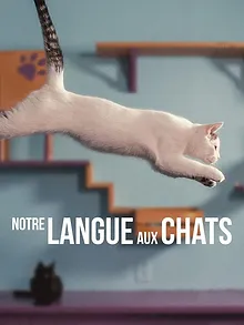 Notre langue aux chats