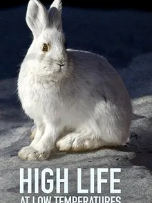 Lungau - Wildnis im Herzen der Tauern