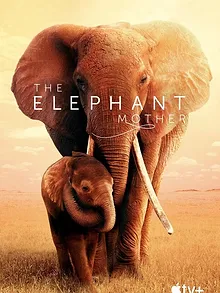 The Elephant Mother